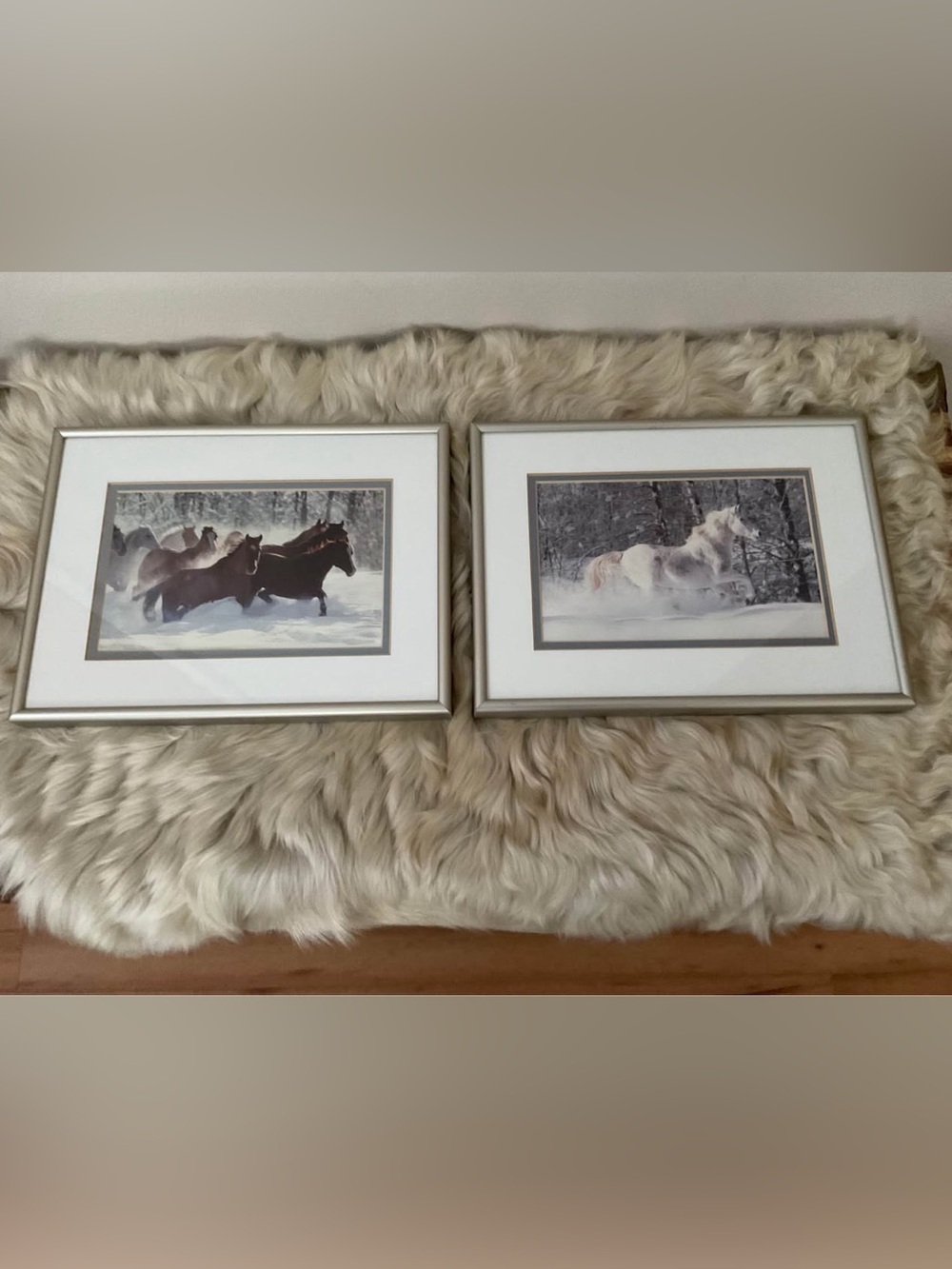 Coldwater Creek White and Cream Horse Print Wall Art Pair